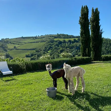Rignana Chianti Estate, Pool, Tennis,cook